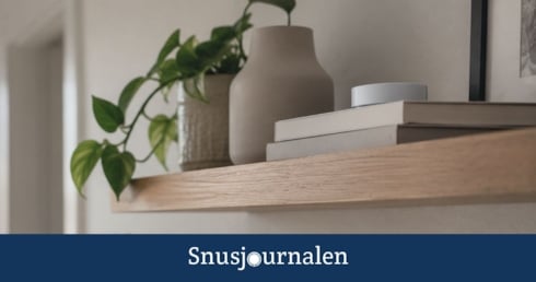 En snusdosa på en hög hylla - Vad man ska göra om ett barn fått i sig snus