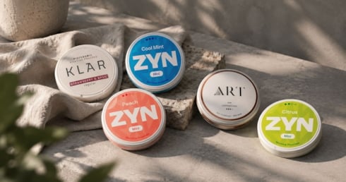 Dosor vitt snus - torra nikotinportioner