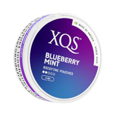 XQS Blueberry Mint Slim