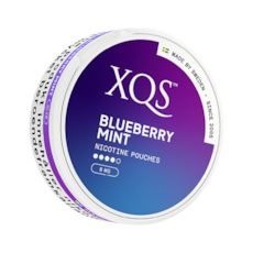 XQS Blueberry Mint Slim Strong