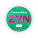 ZYN Cactus Spice Slim S3