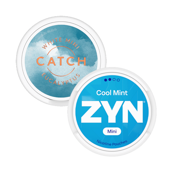 Catch and Zyn Mini Eukalyptus Mint S2 2-pack