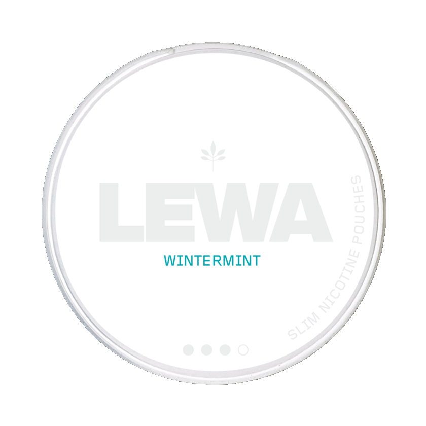 Lewa LEWA Wintermint 3 Strong – nikotinpåsar