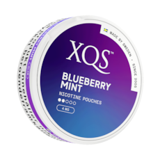 XQS Blueberry Mint Slim