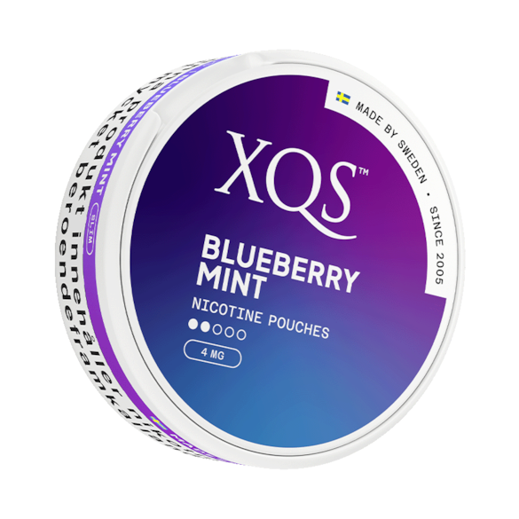 XQS Blueberry Mint Slim