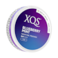 XQS Blueberry Mint Slim