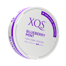 XQS Blueberry Mint Nikotinfritt Snus
