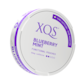 XQS Blueberry Mint Nikotinfritt Snus
