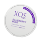 XQS Blueberry Mint Nikotinfritt Snus
