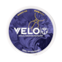 VELO Tomorrowland Limited Edition 2026