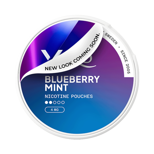 XQS Blueberry Mint Slim