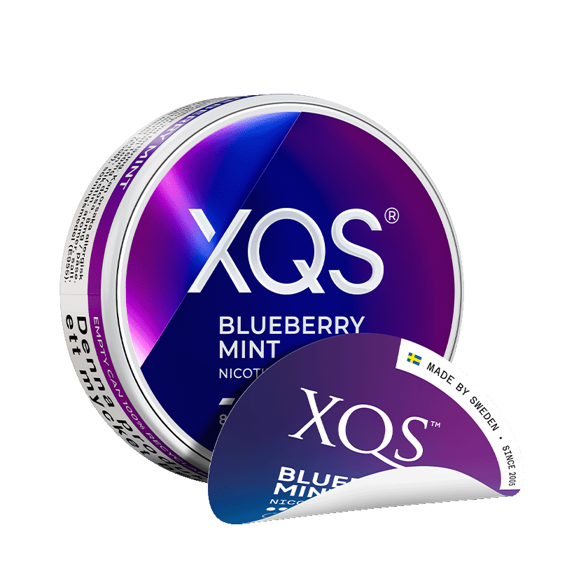 XQS XQS Blueberry Mint Slim Normal – nikotinpåsar