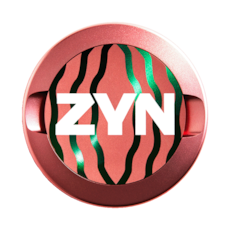 ZYN Metal Can Watermelon Mint Green