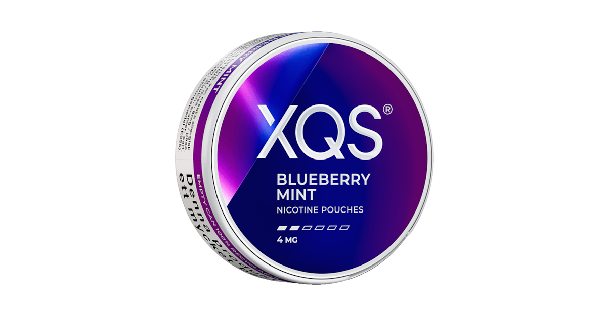 XQS Blueberry Mint 4mg