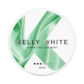 Kelly White Sweet Melon Mint Mini 6mg